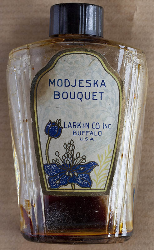 Helena Modrzejewska, Modjeska