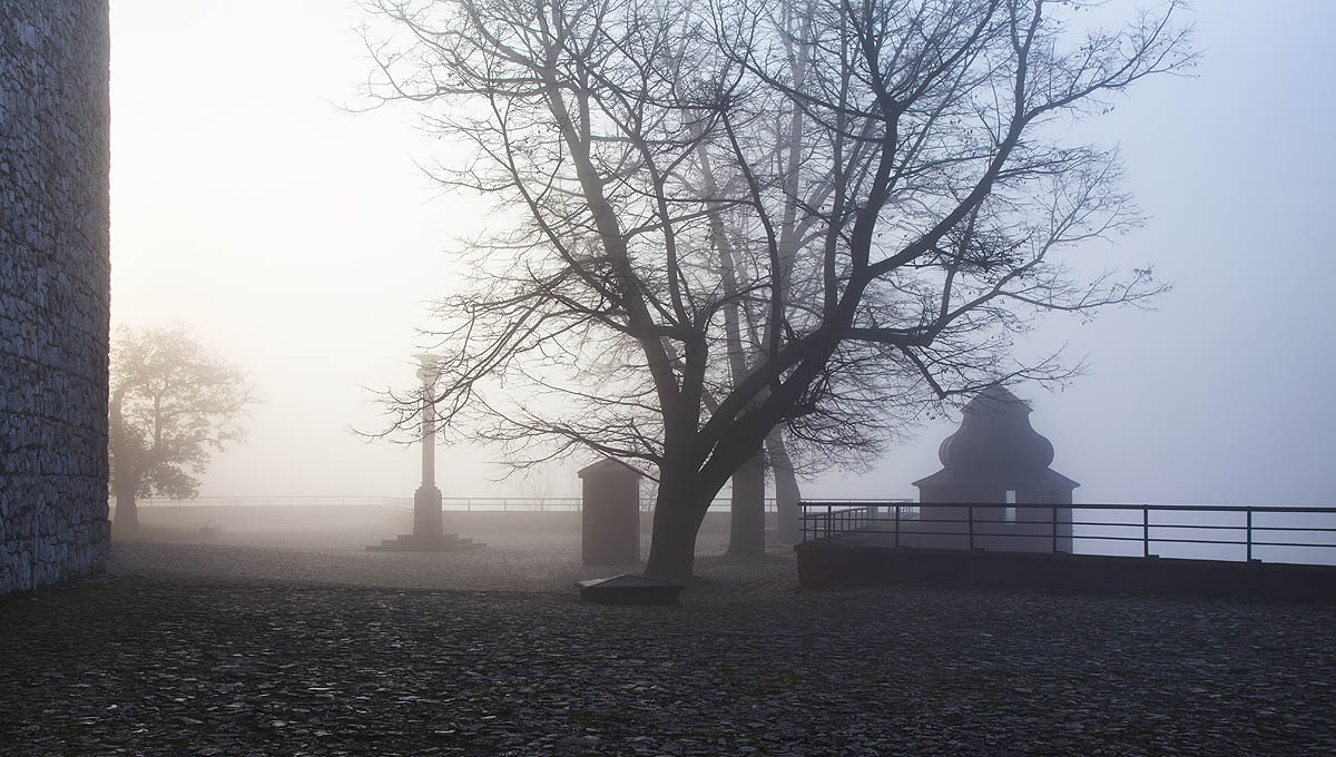 Wawel