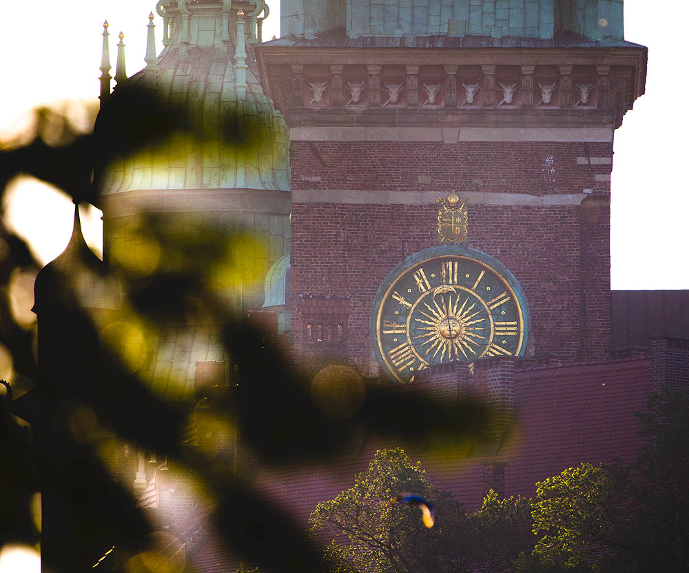 Wawel