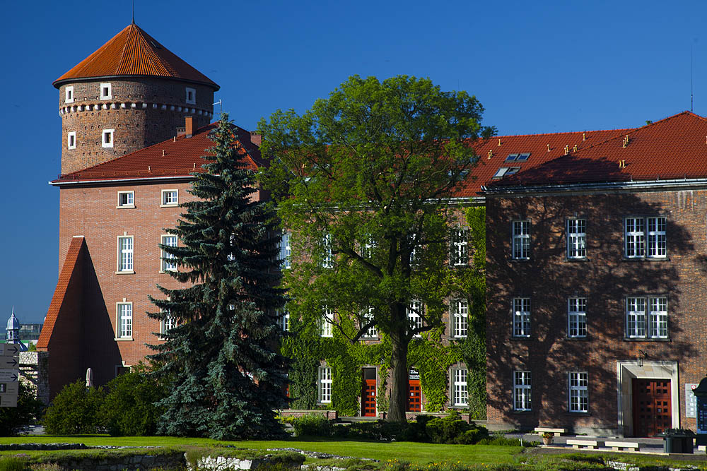 Wawel