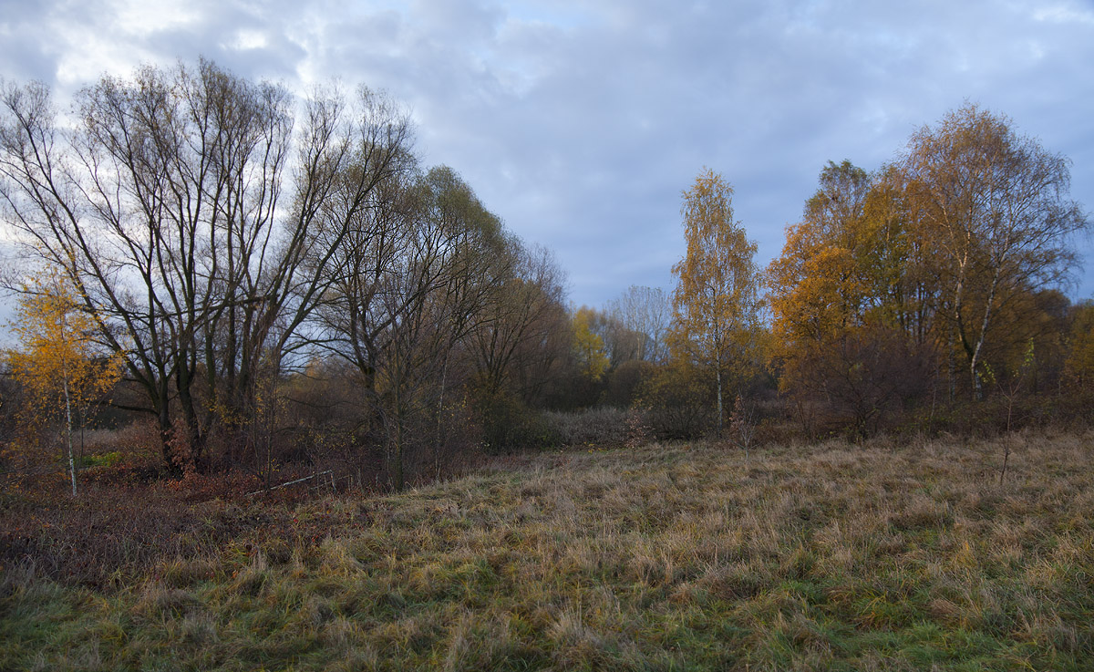 Zakrz�wek, Krak�w
