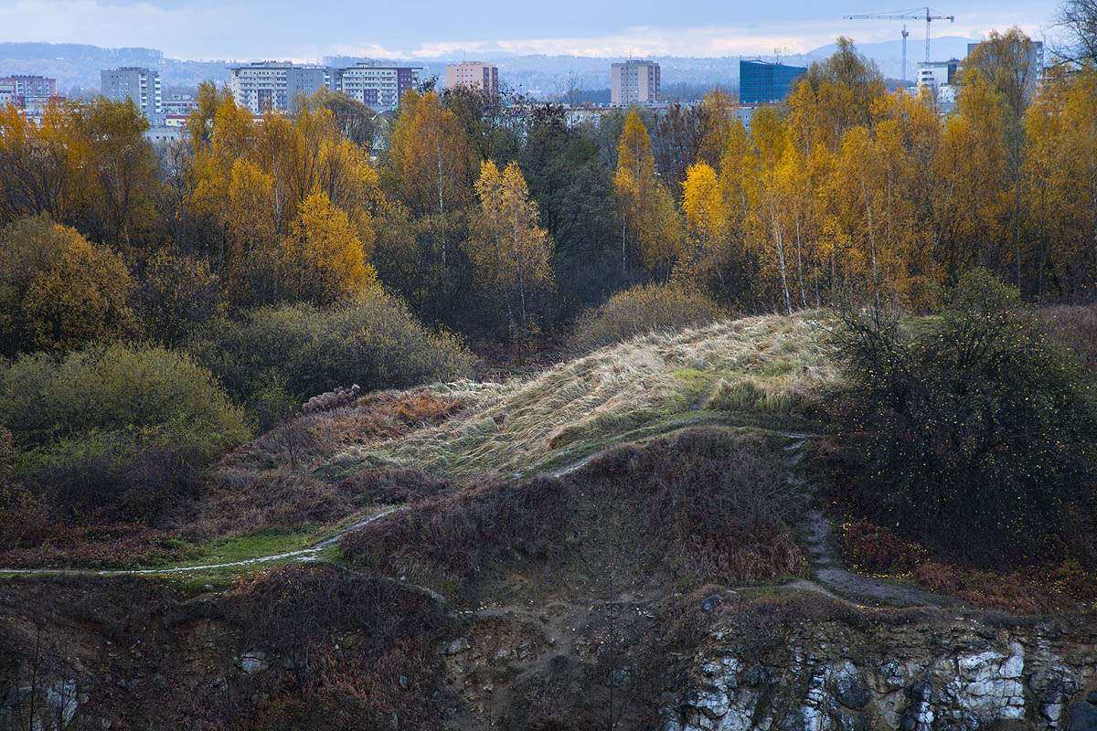Zakrz�wek, Krak�w