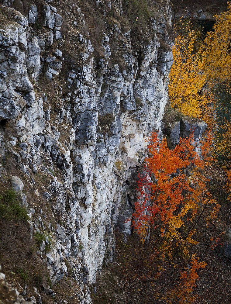 Zakrz�wek, Krak�w