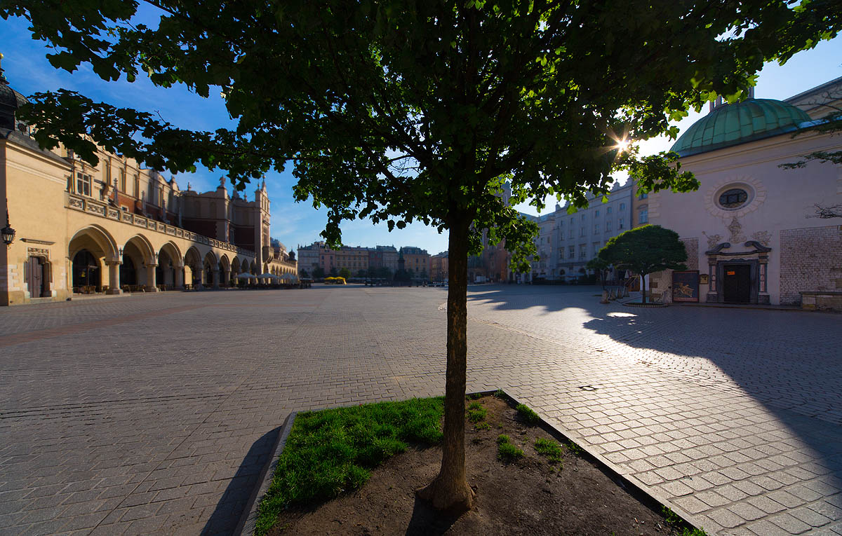 Rynek, Krak�w o �wicie