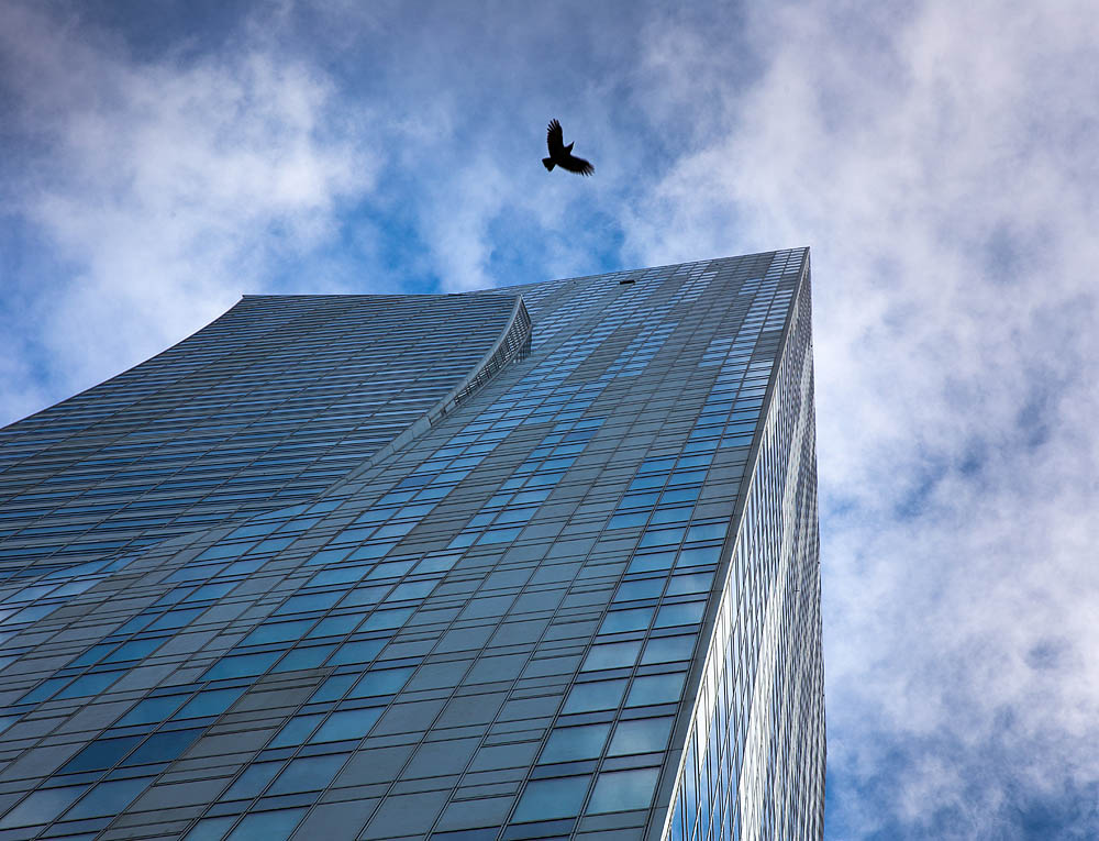 Liebeskind Warsaw