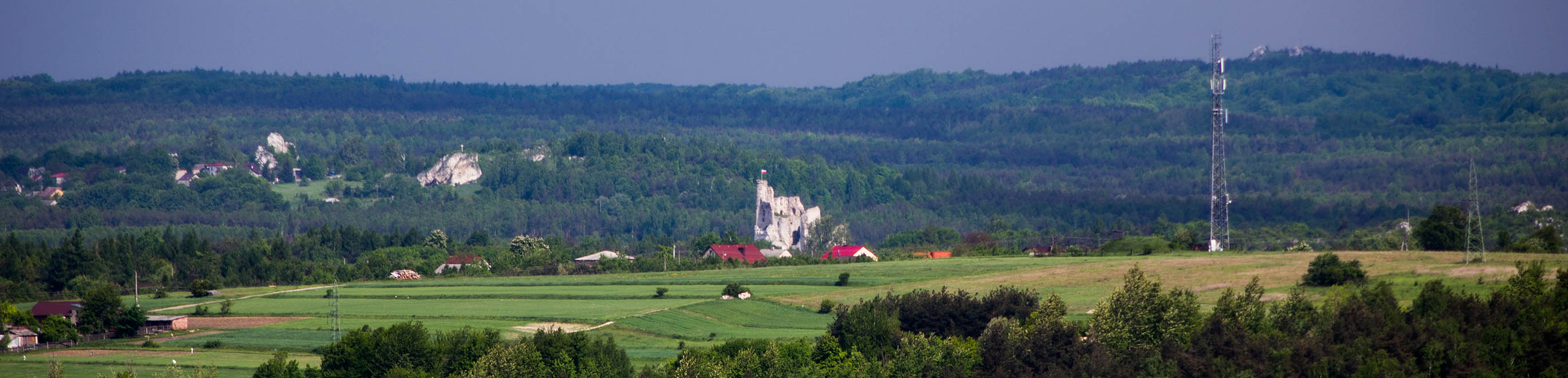 Zamek Mirów, widok z Góry Zborów