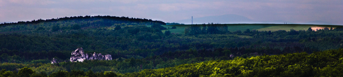 Widok z Góry Zborów