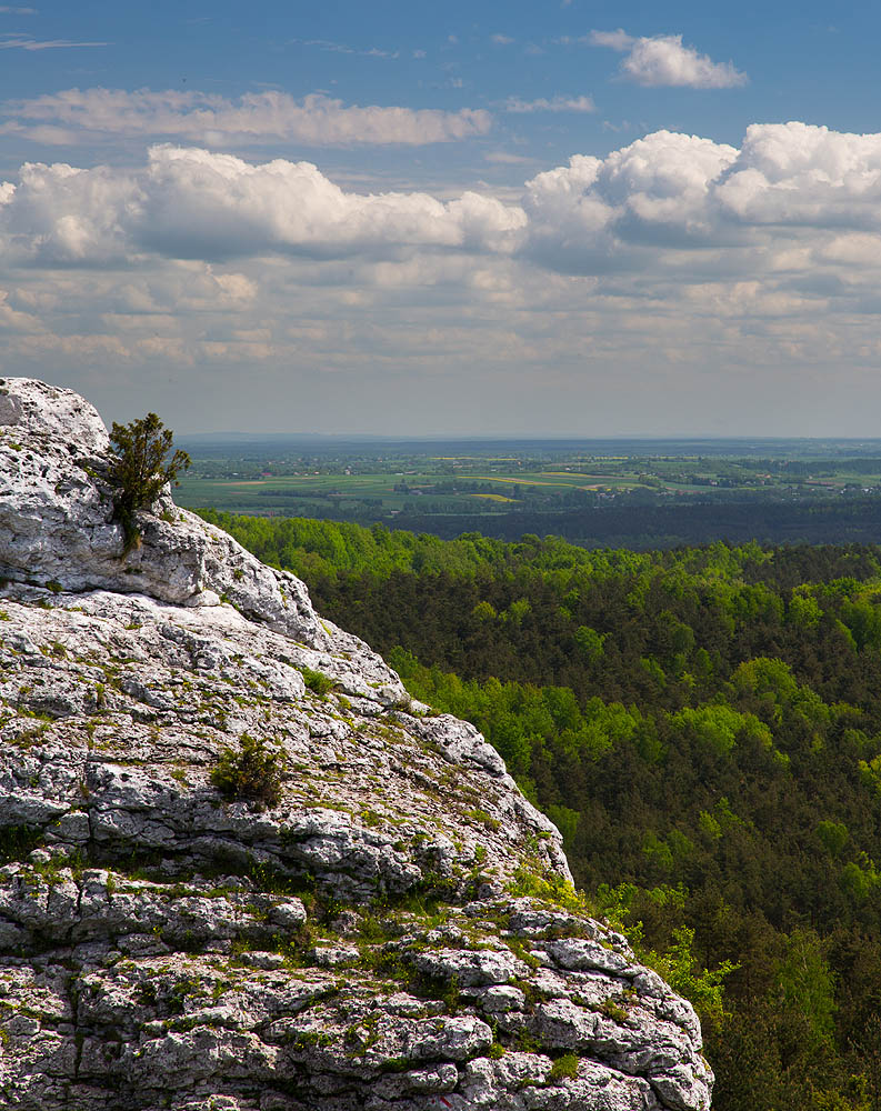 Widok z Góry Zborów
