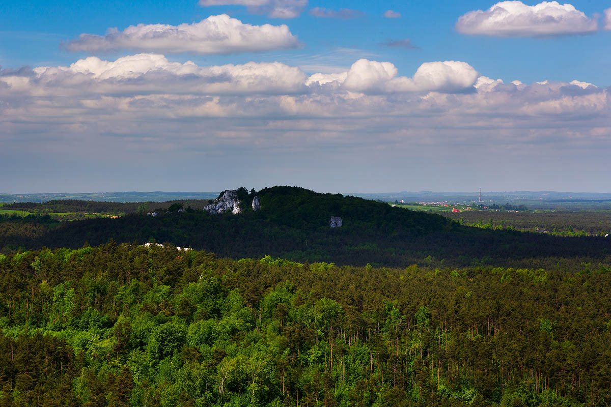 Widok z Góry Zborów