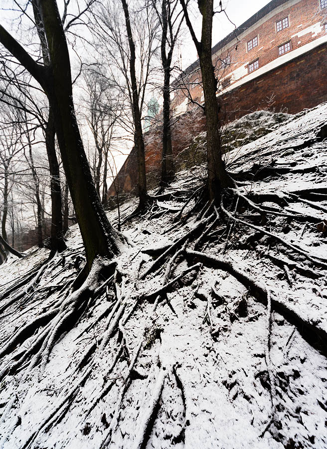 Wawel