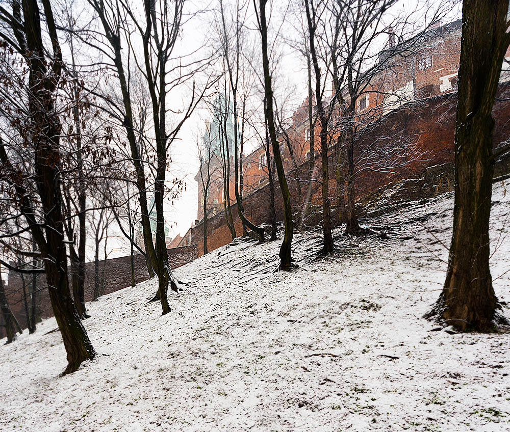 Wawel