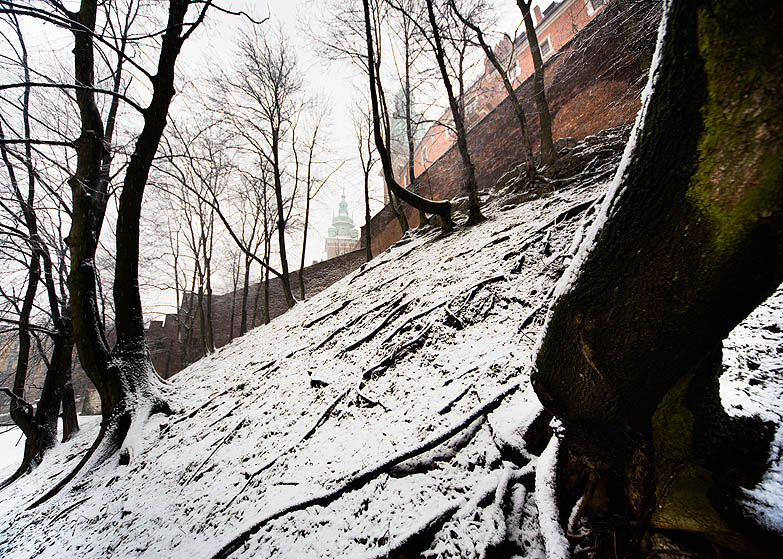 Wawel