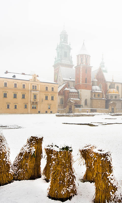Chocho�y, Wawel