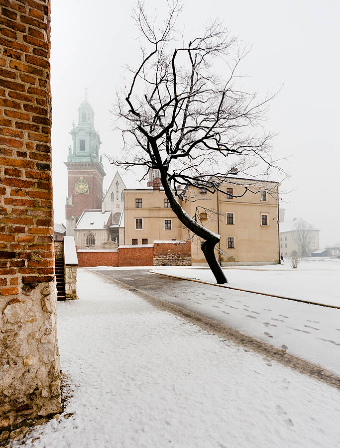 Wawel