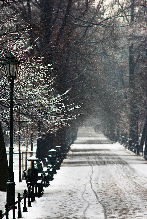 Planty, Krak�w