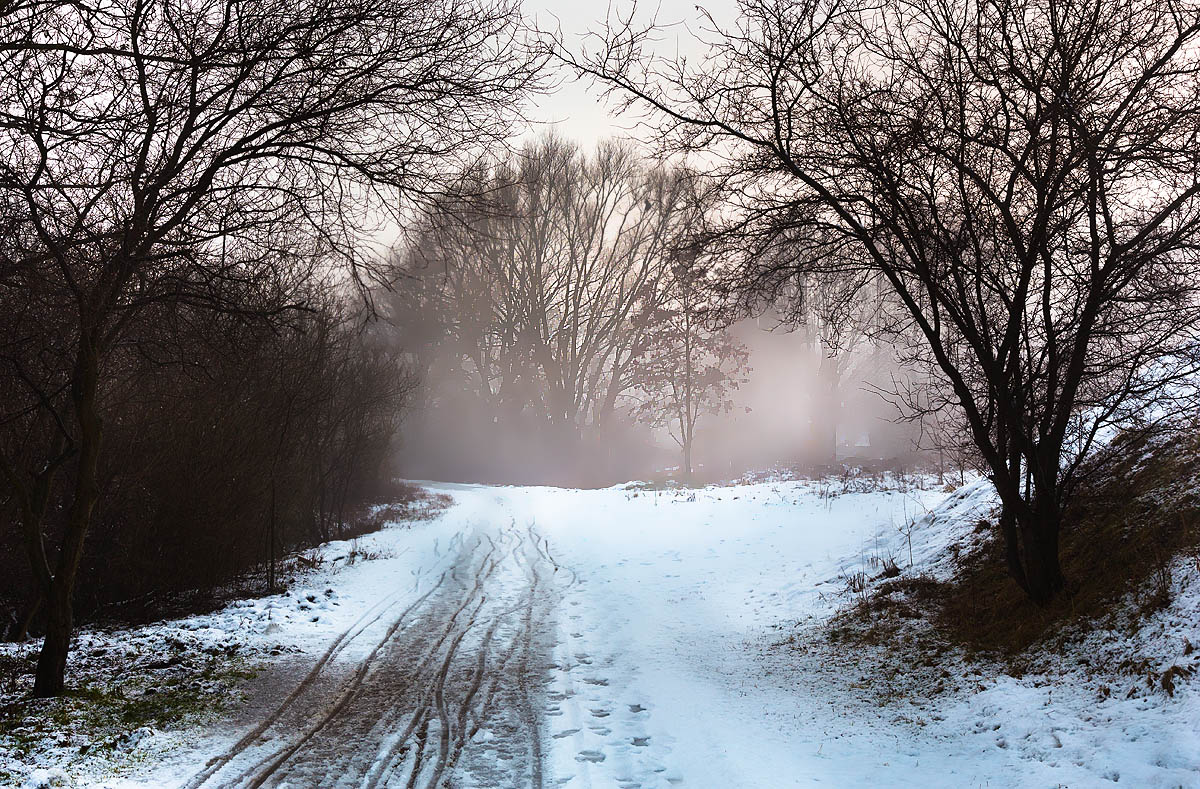 Zakrz�wek, Krak�w