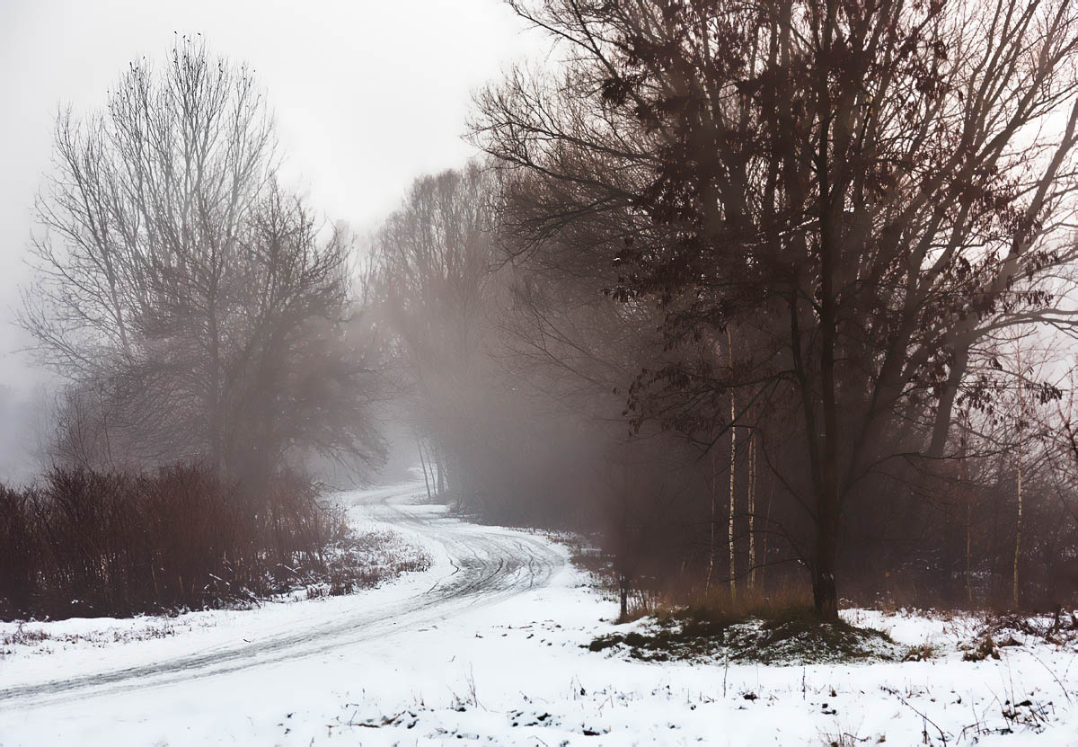 Zakrz�wek, Krak�w