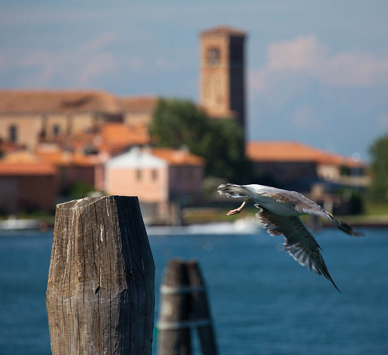 Chioggia