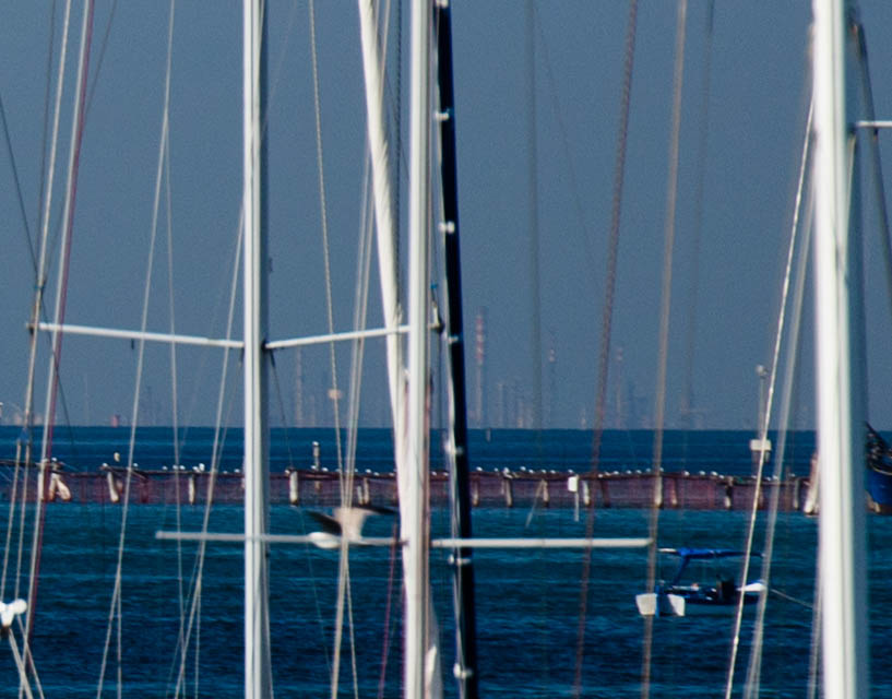 Chioggia
