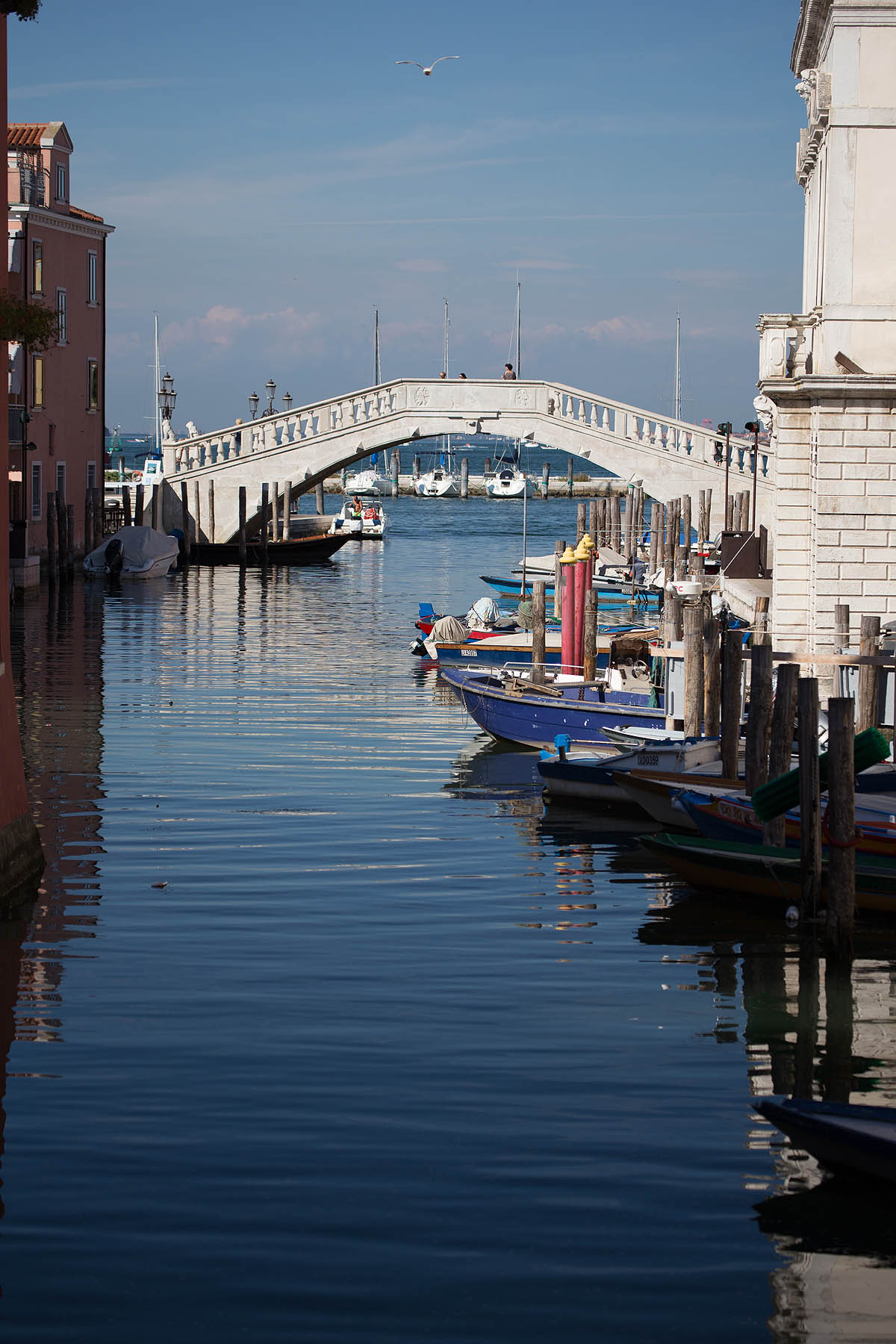 Chioggia