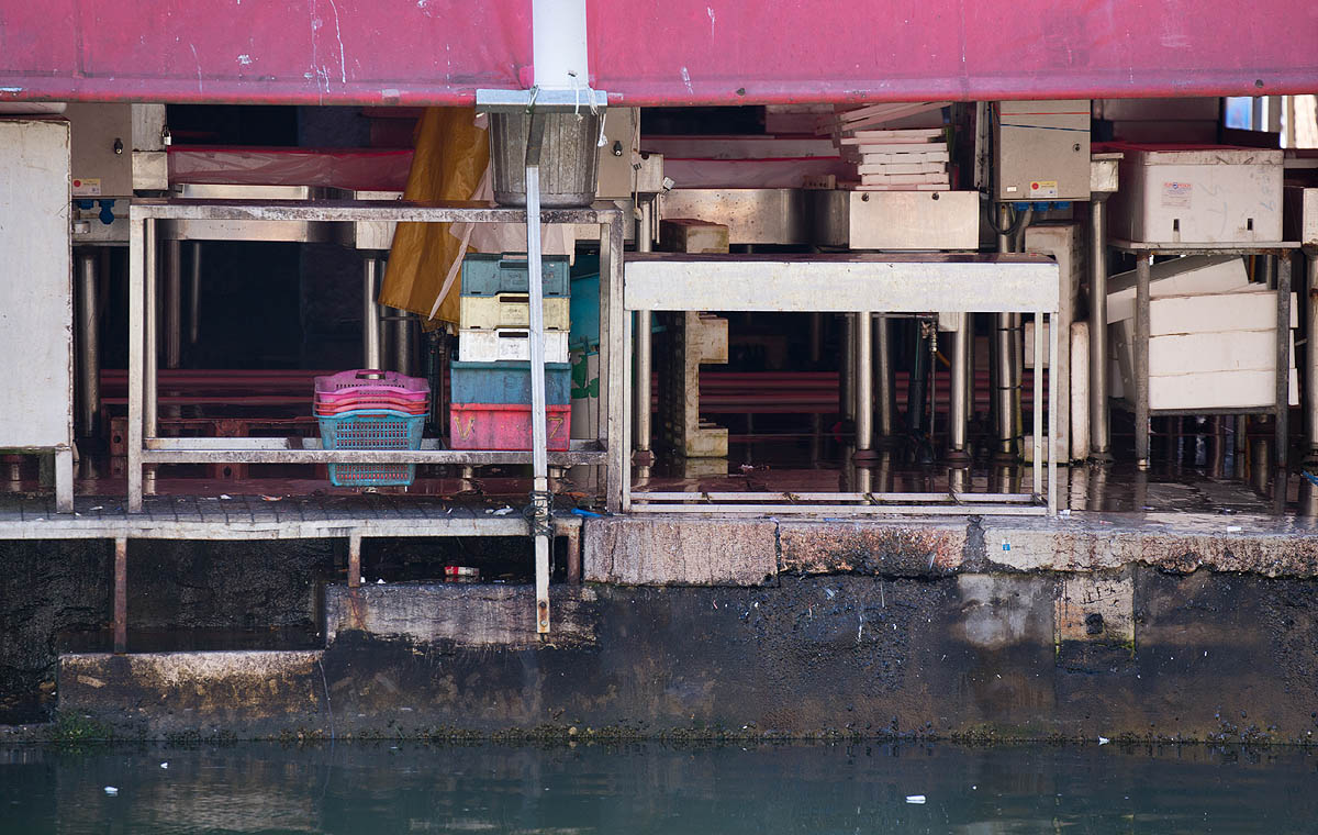 Chioggia