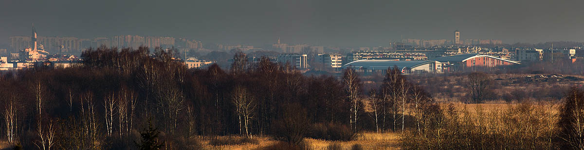 Kostrze