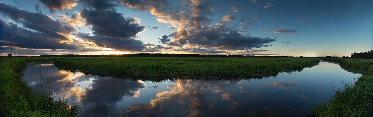 Narew
