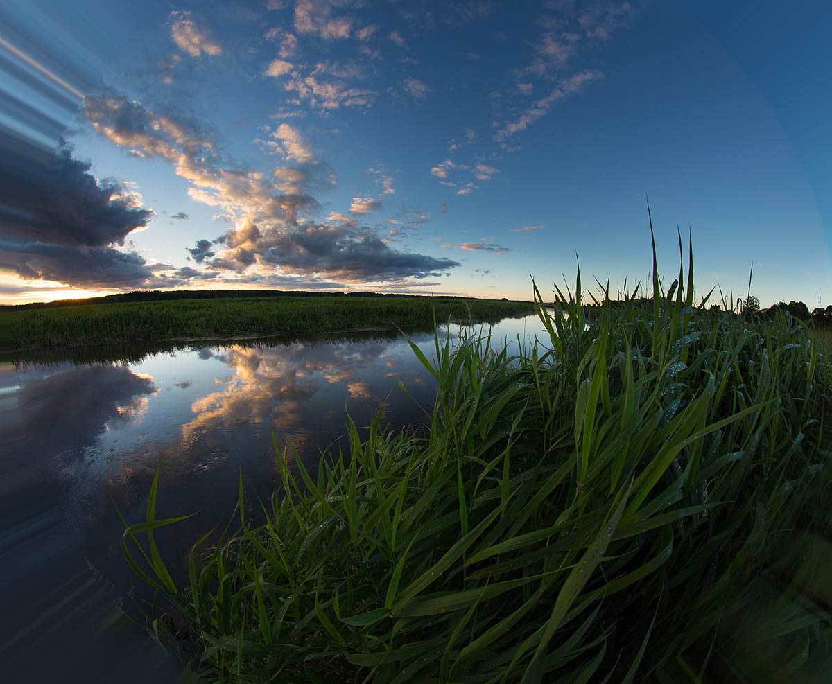 Narew