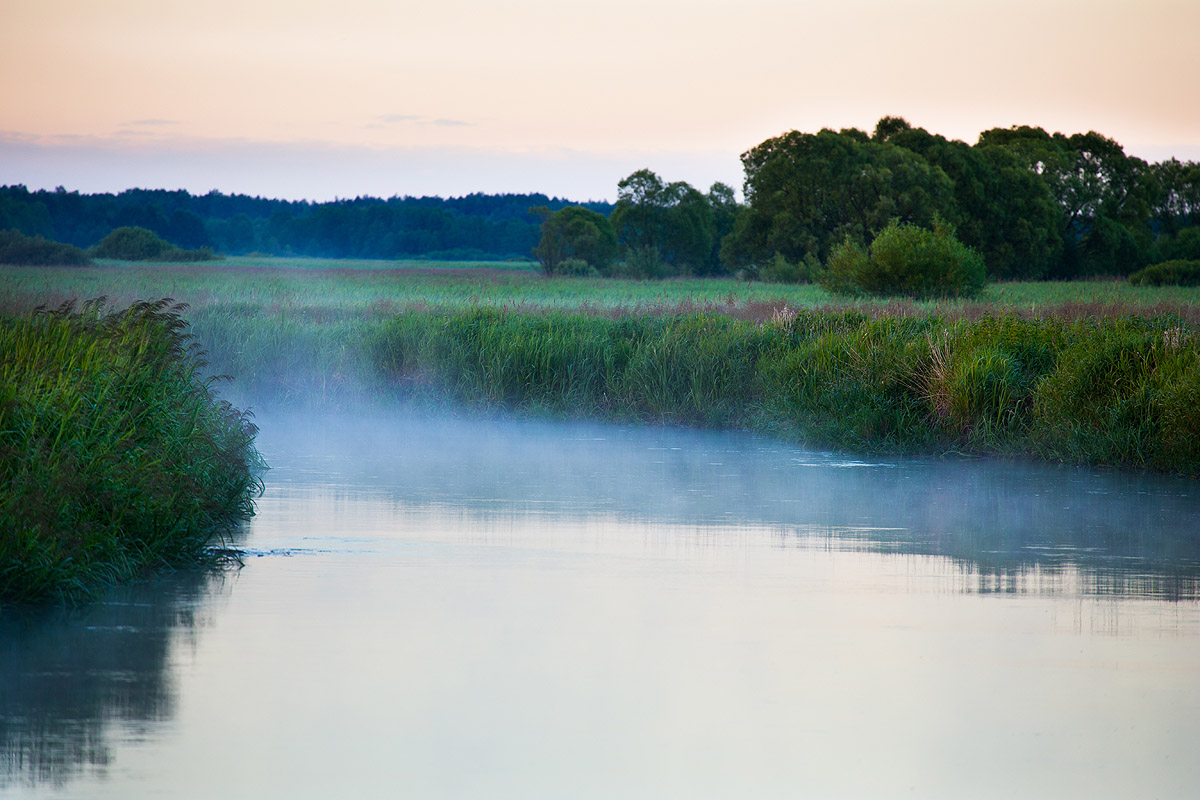 Narew