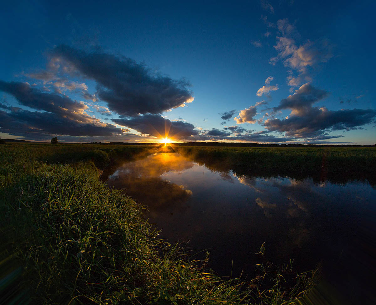 Narew