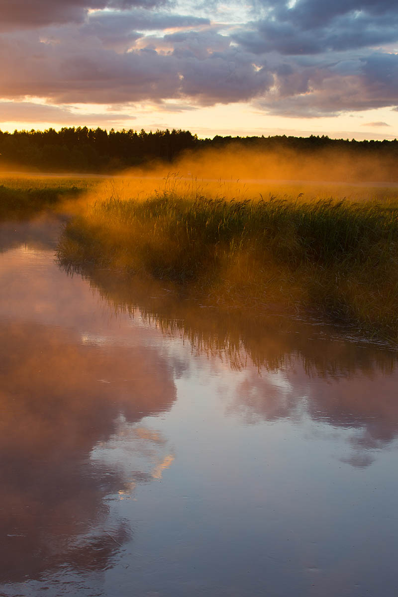 Narew