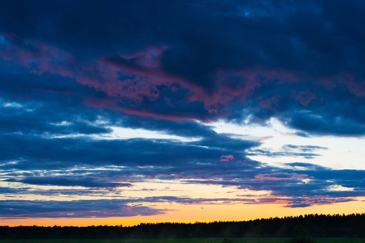 Narew