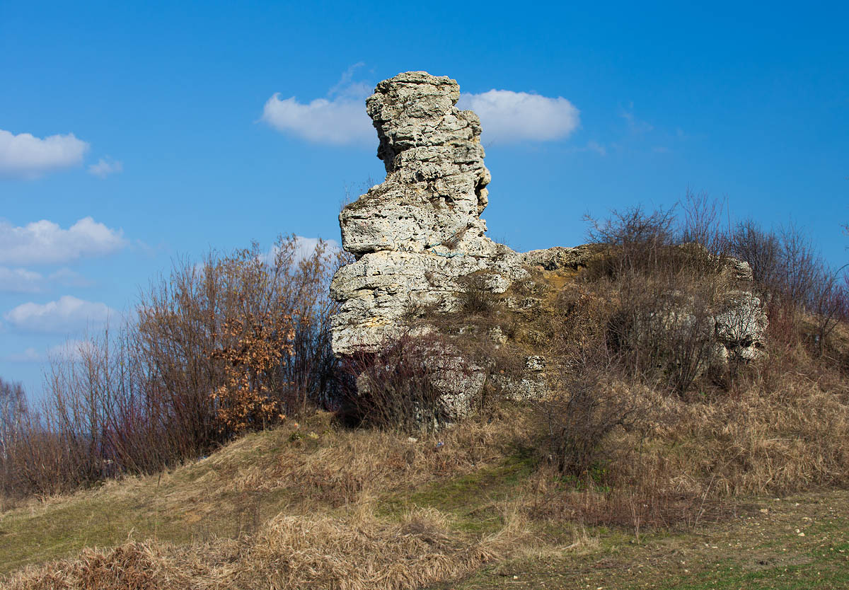 Ska�ka Triasowa Bol�cin
