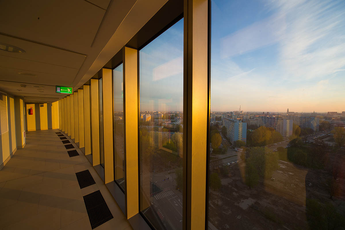 Sky Tower