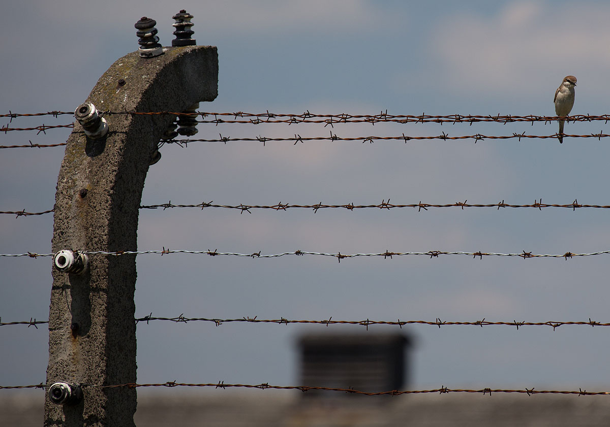 Auschwitz-Birkenau