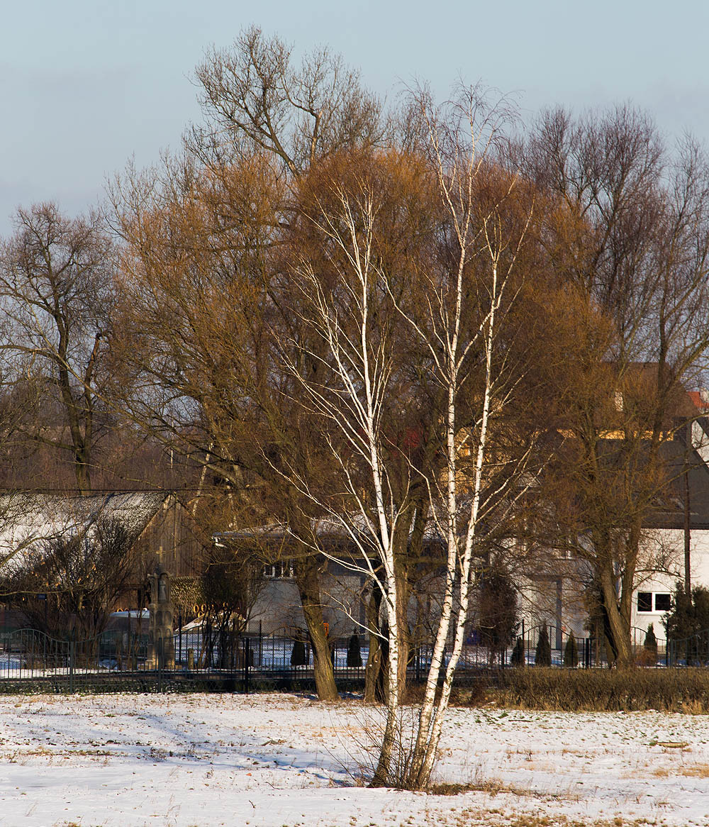 Kobierzyn