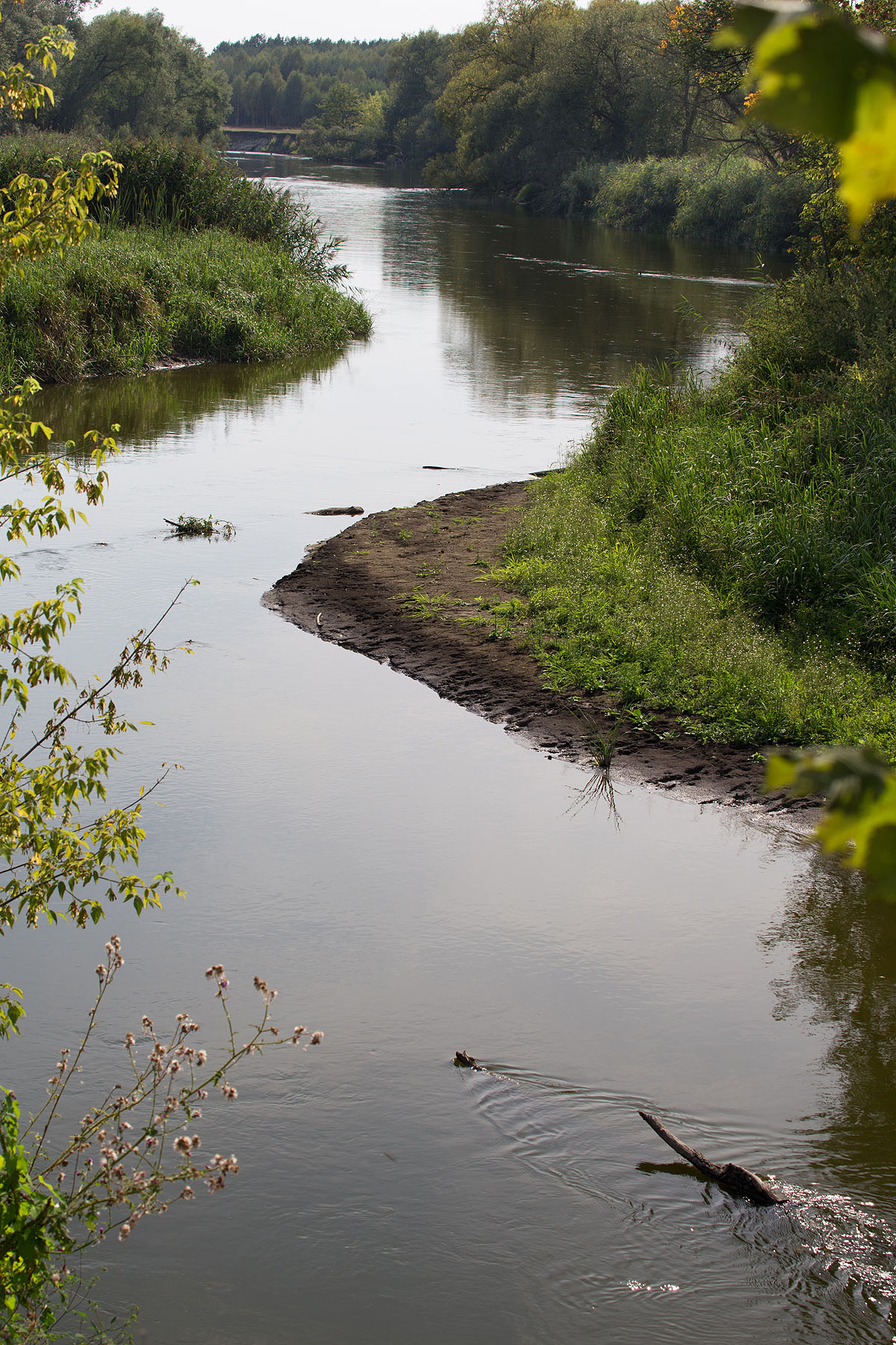 Rzeka Wieprz, G�rka Lubartowska