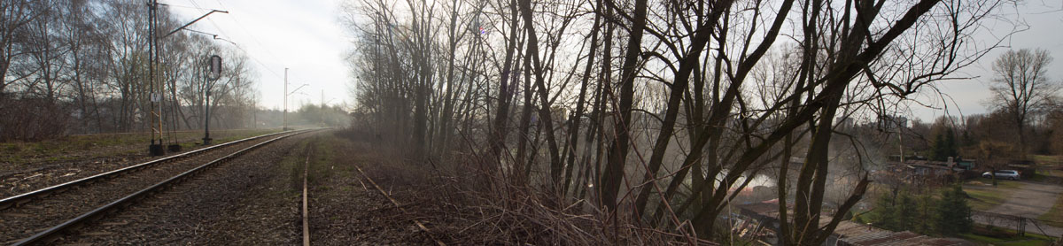 Brynów