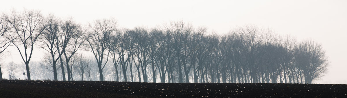 Dolny Sląsk
