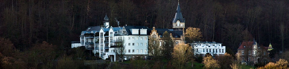 Bonn