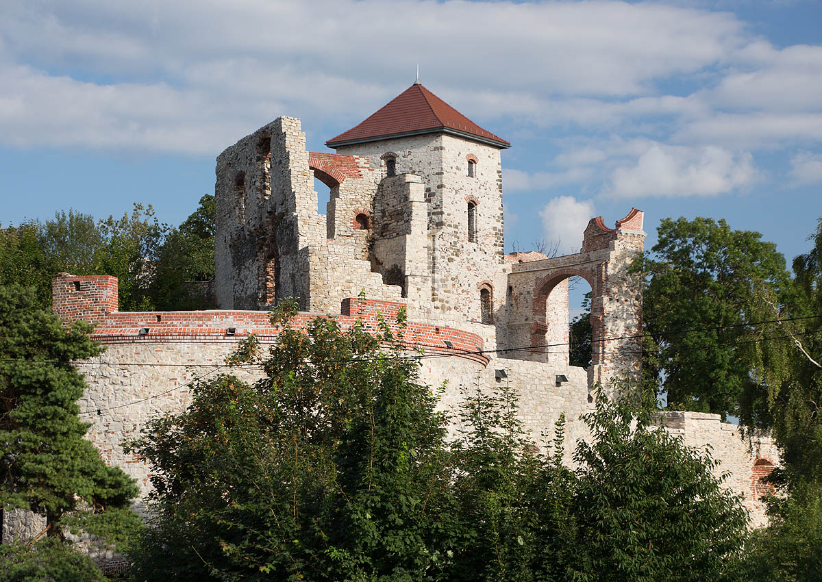 Zamek Tenczyn