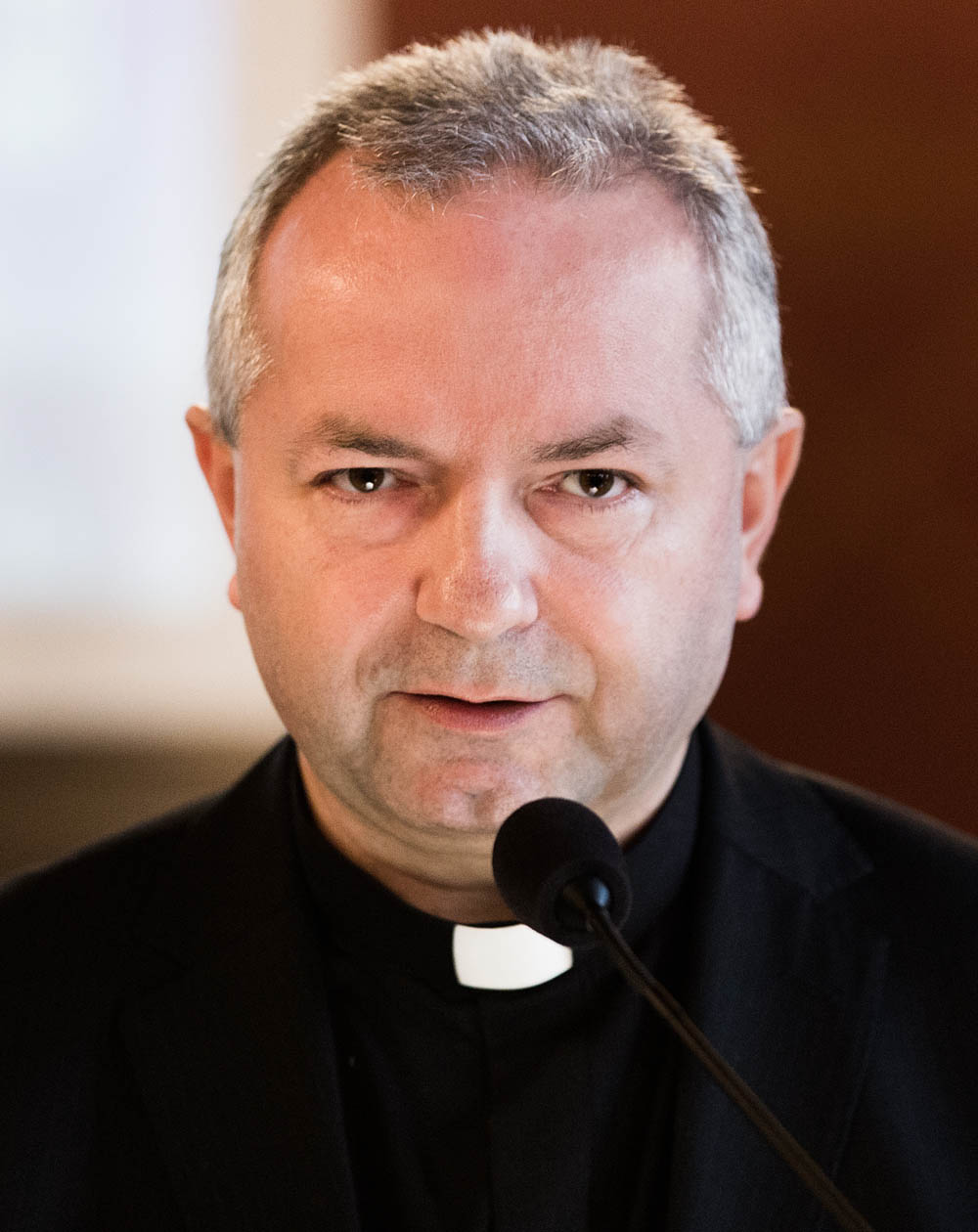 ks. prof. Robert N�cek