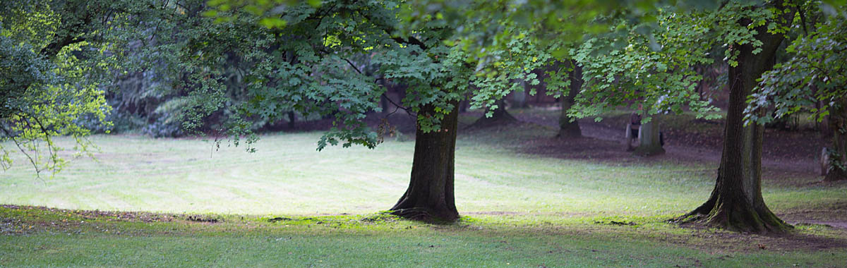 Tarnowskie Góry, park