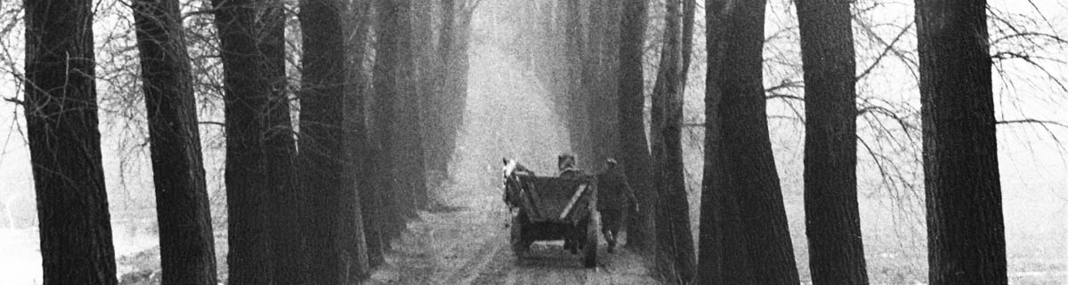 �agiewniki k. Bytomia, 1970 &pm; 1
