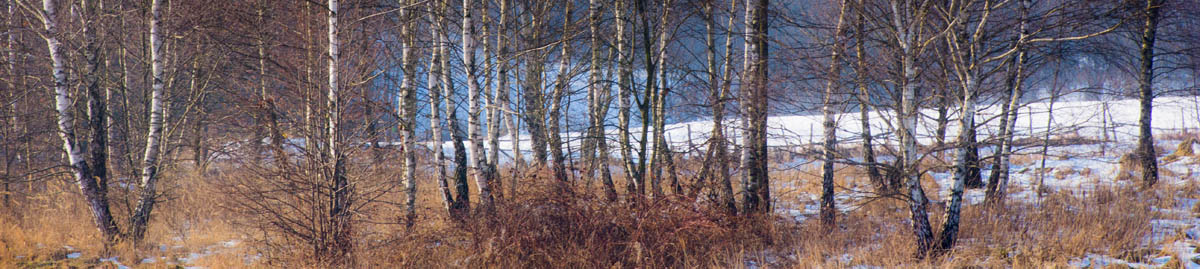 Paszkówka