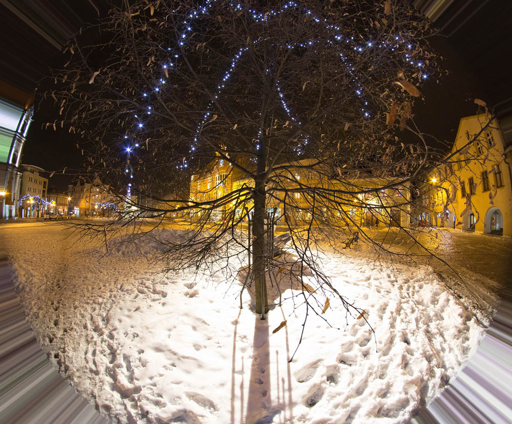 Tarnowskie G�ry, Rynek